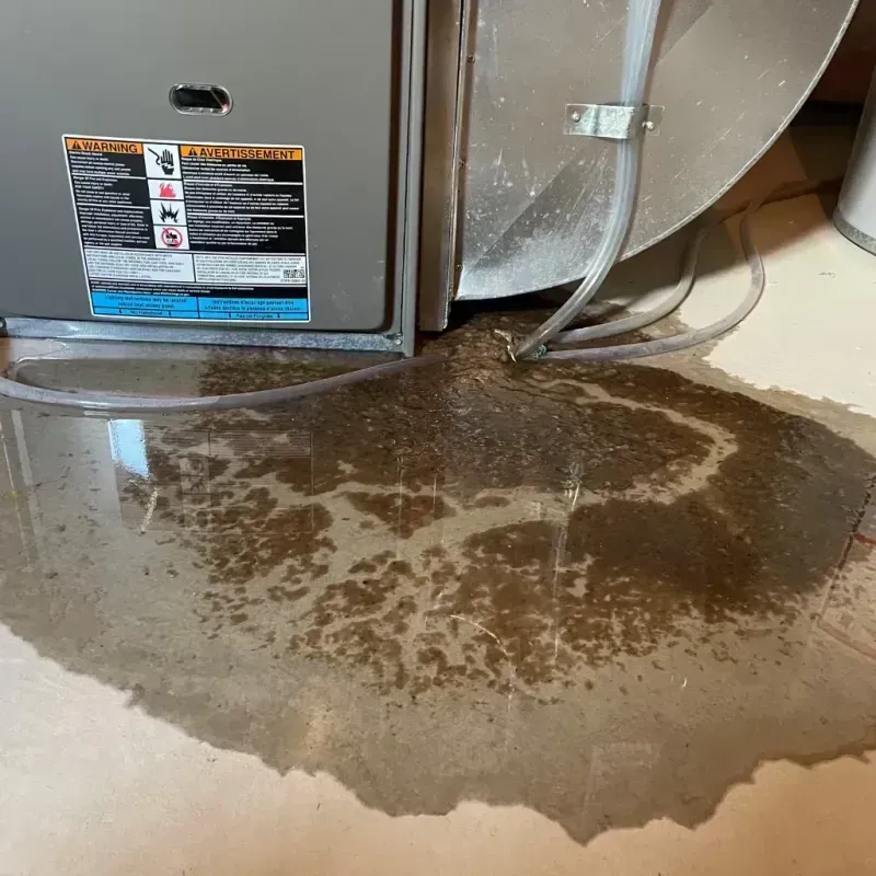 Appliance Leak Cleanup in Westlake, OH